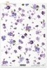 fiołki, akwarela, R098, flower, flowers, violets, violet, meadow, garden , violetas en la técnica de acuarelas, flores, prado, jardín, violeta, violetas, acuarela , Veilchen in Aquarelltechnik, Wiese, Garten 
